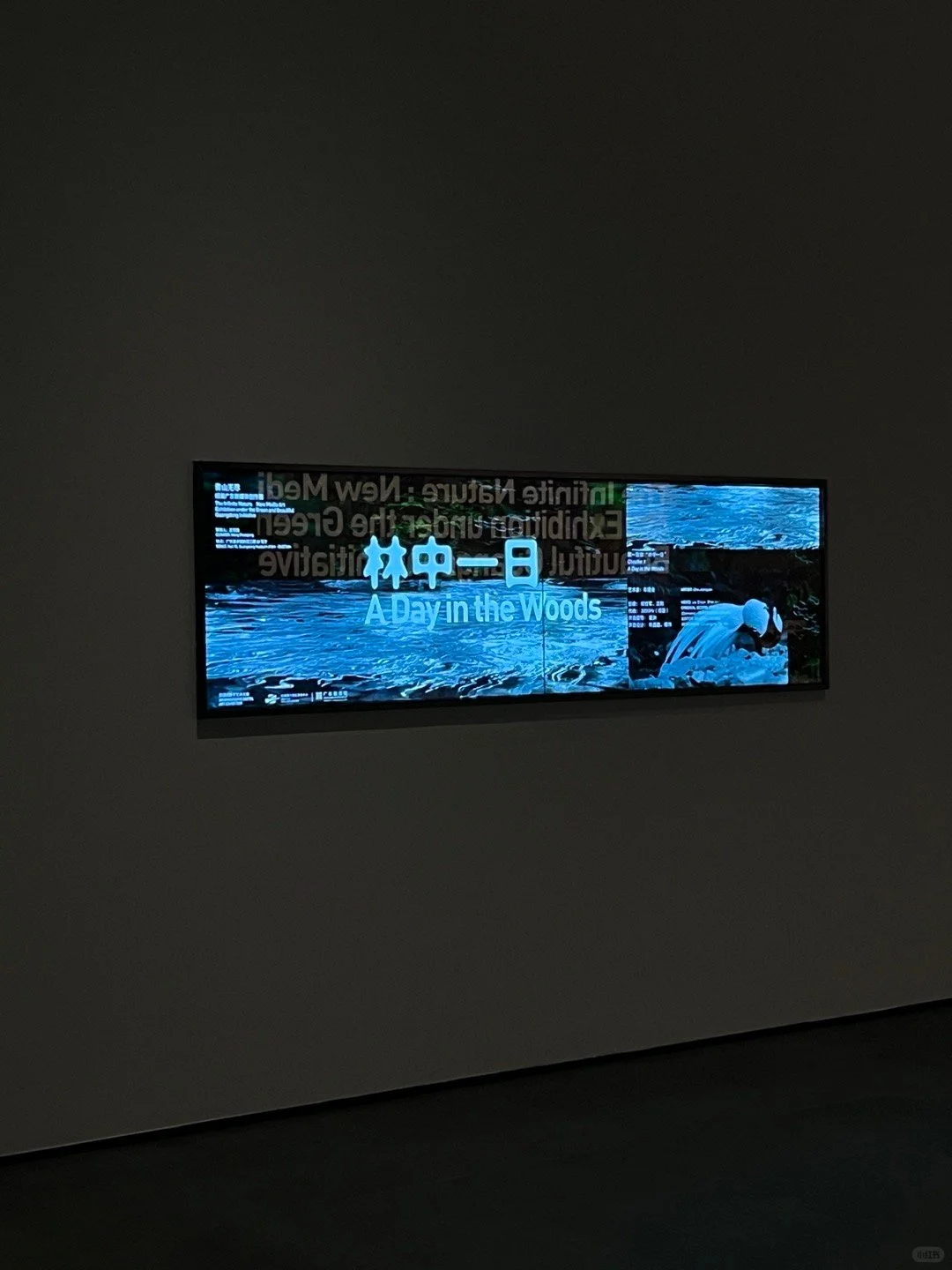 超出预期，才是好的展览！