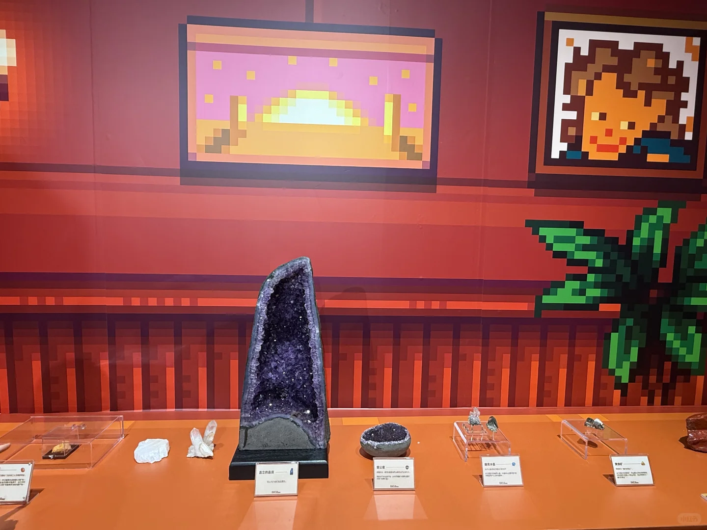 星露谷展览会我来啦！