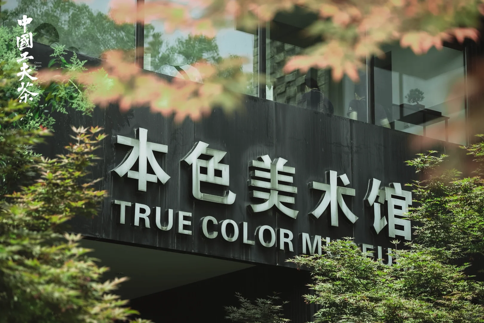 第二届中国工夫茶博览会观后感