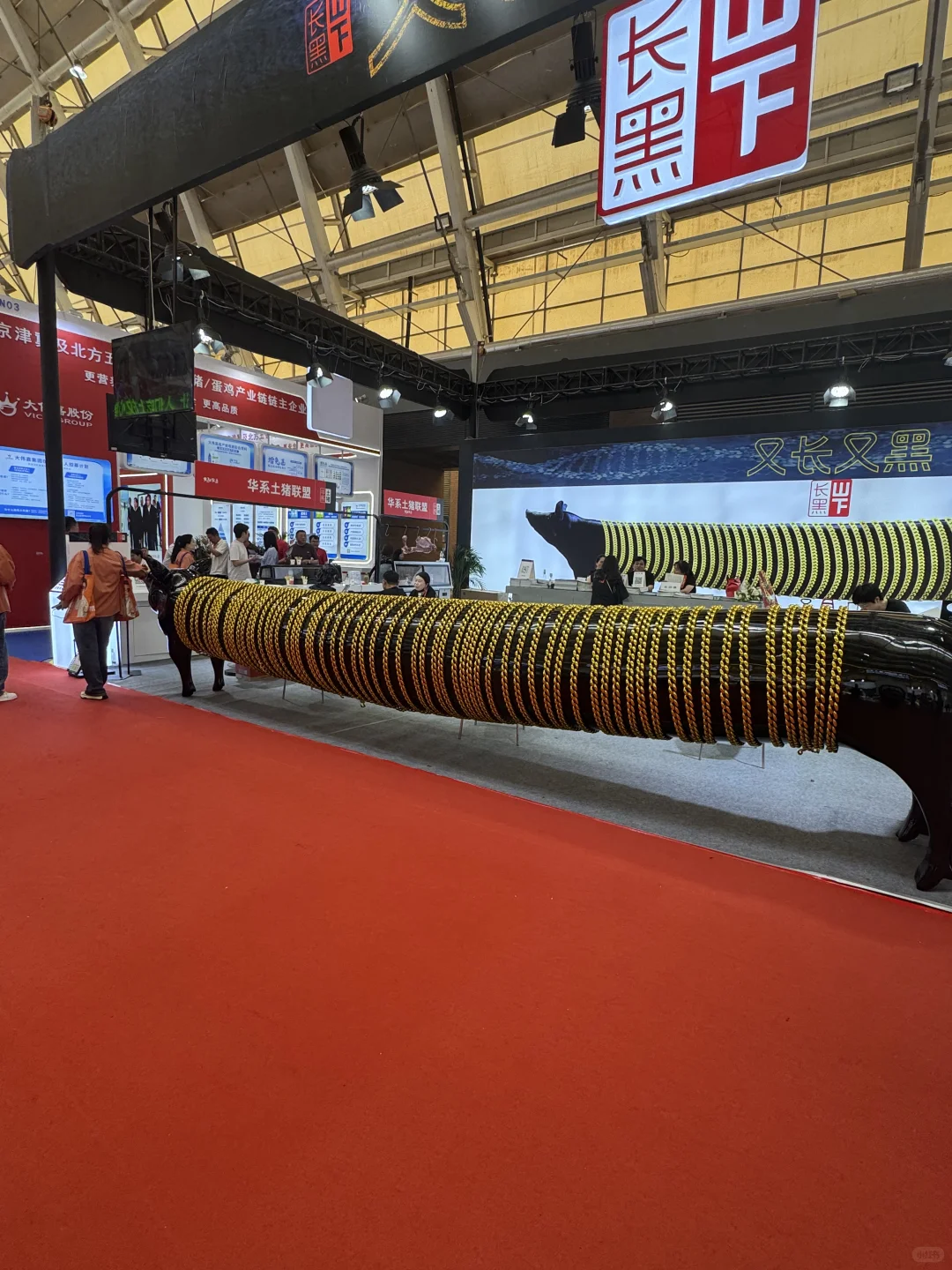 今天往返6小时，去青岛畜牧业博览会了