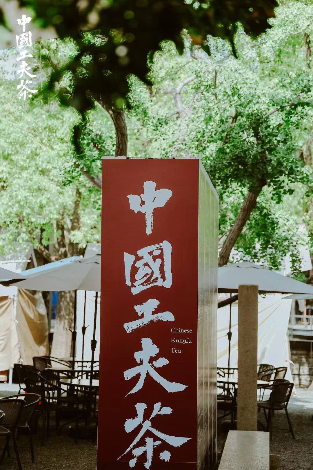 第二届中国工夫茶博览会观后感