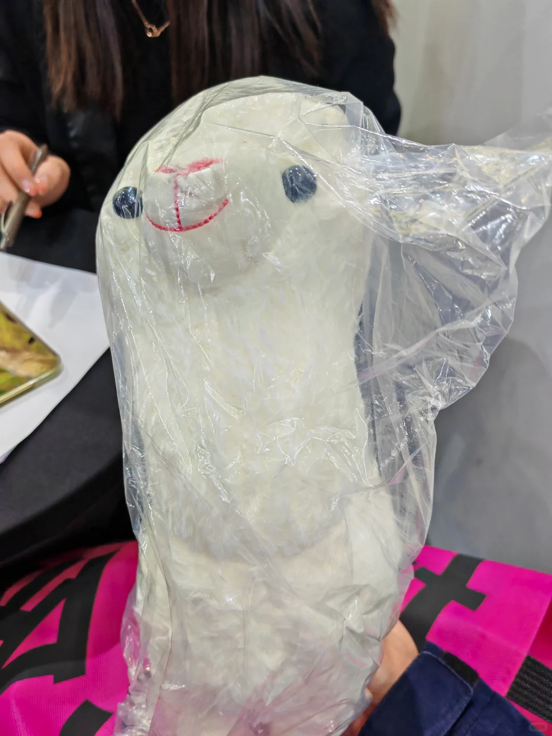 免费领的太多，我都拿不动了