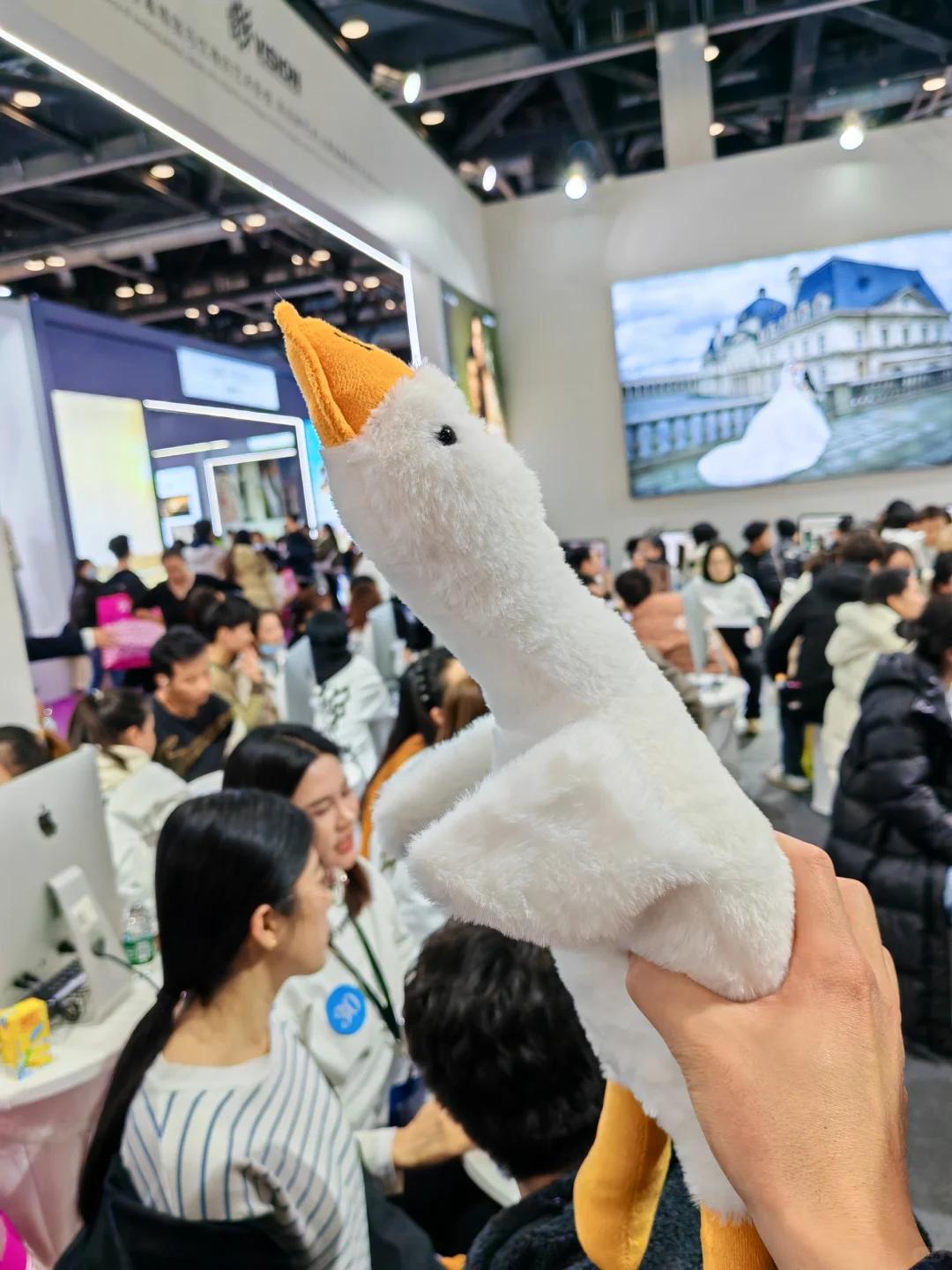 免费领的太多，我都拿不动了