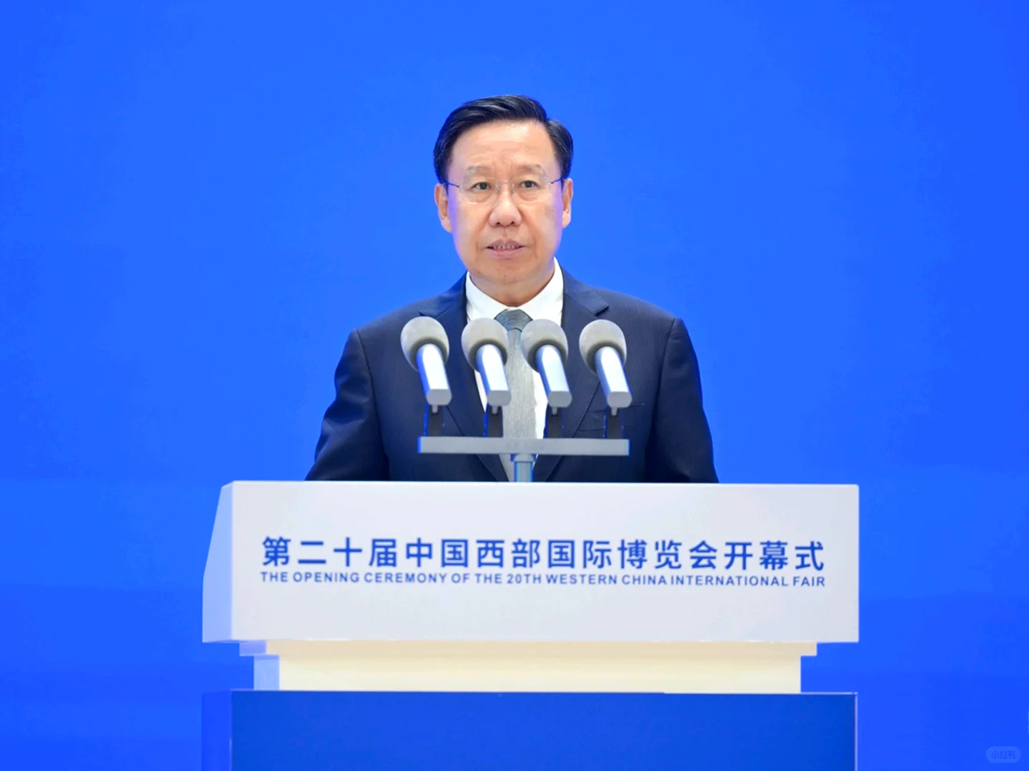 ??第二十届西博会成都开幕！