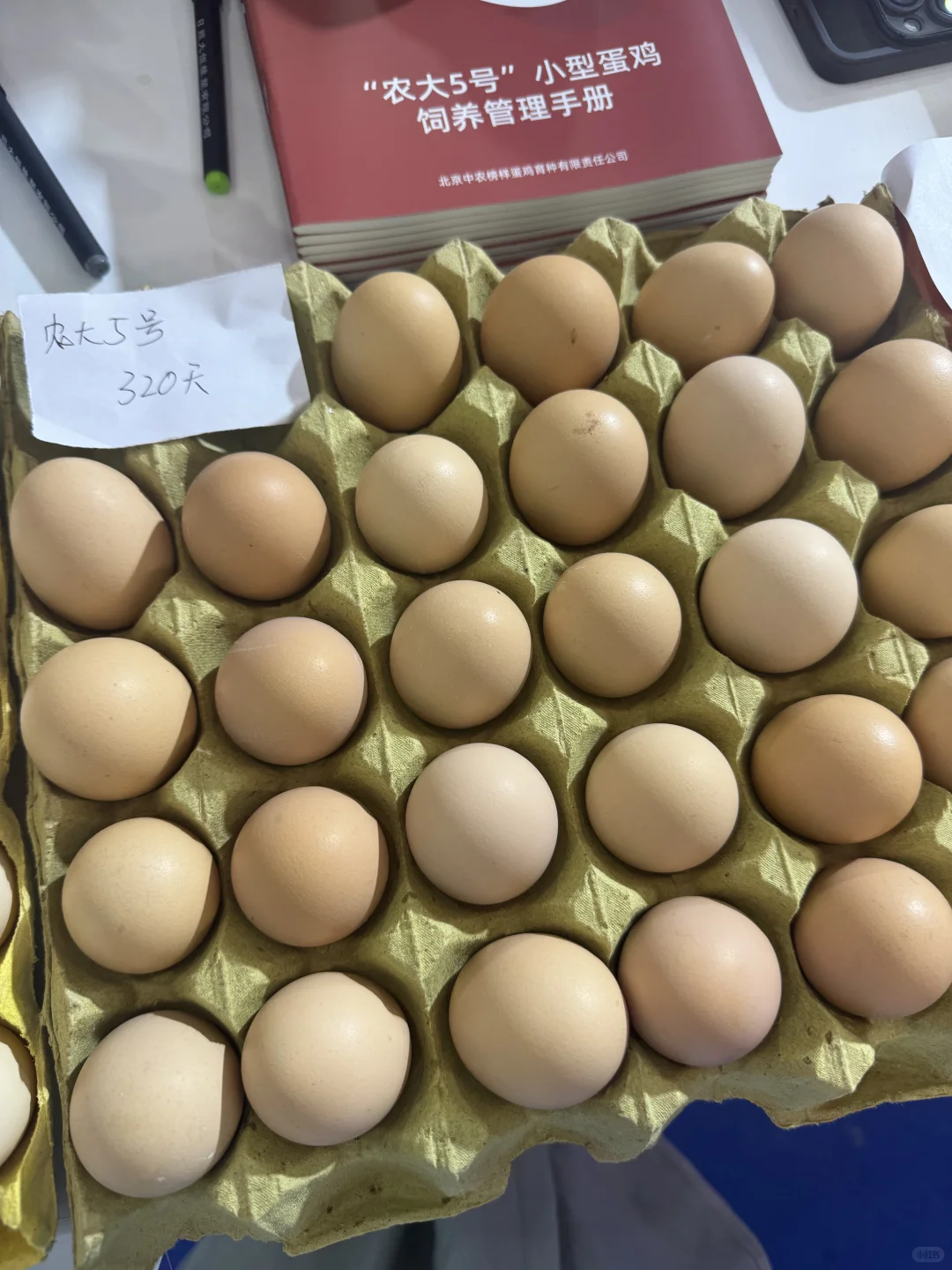 今天往返6小时，去青岛畜牧业博览会了