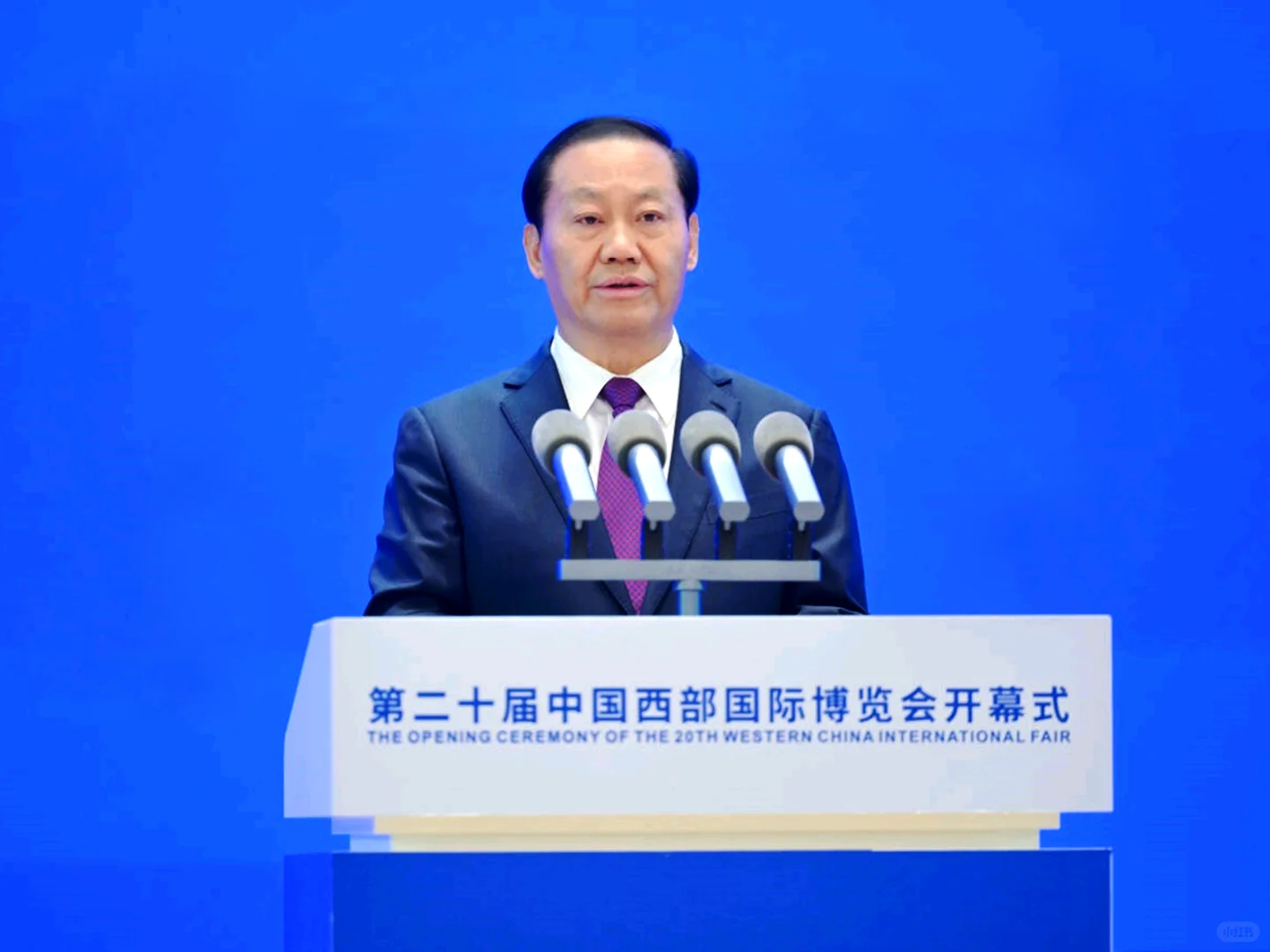 ??第二十届西博会成都开幕！