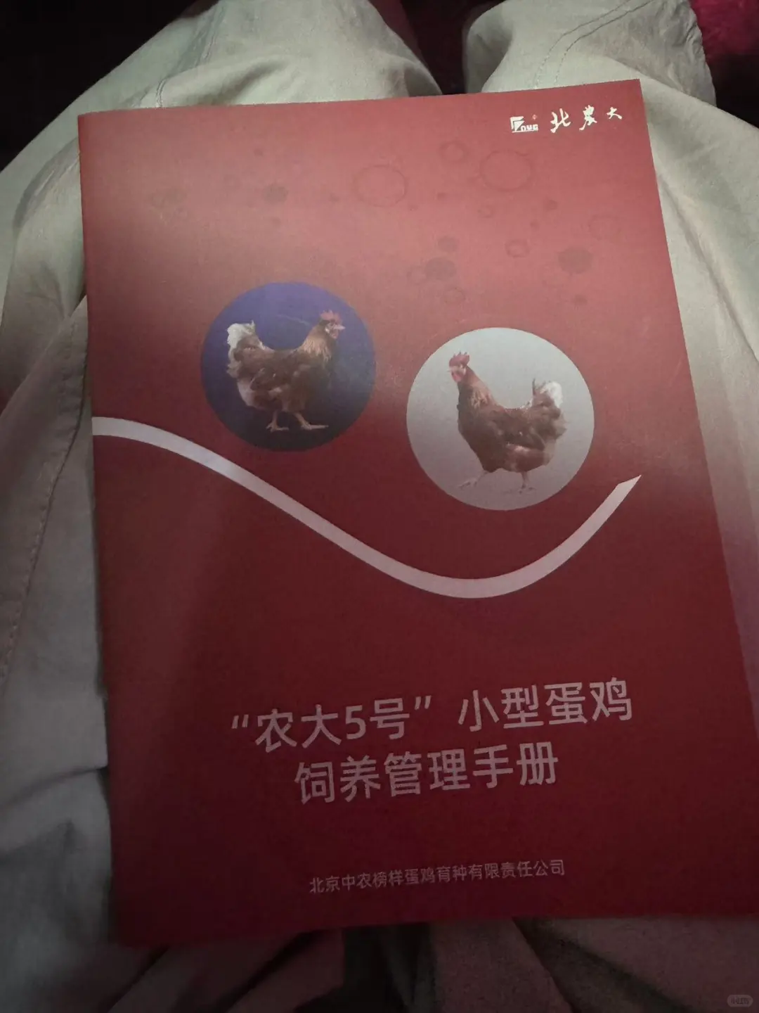 今天往返6小时，去青岛畜牧业博览会了