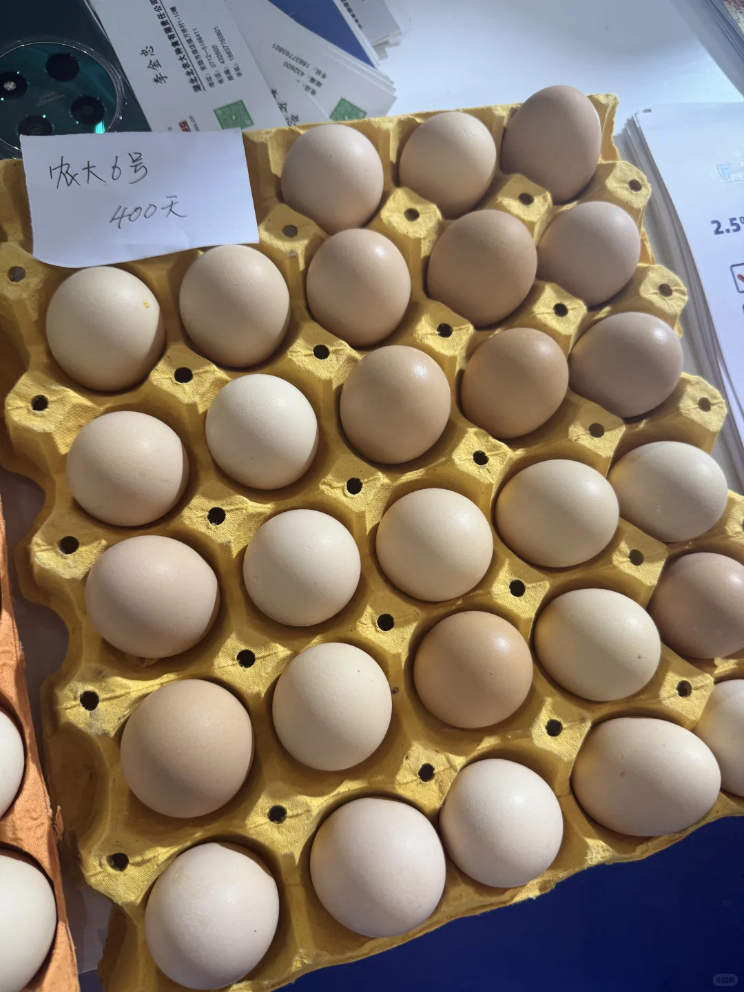 今天往返6小时，去青岛畜牧业博览会了