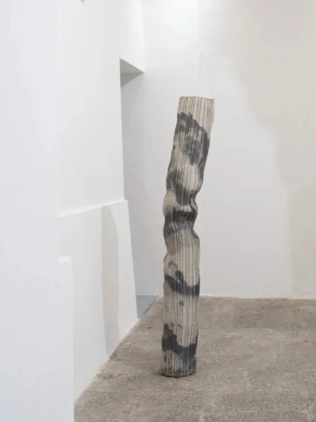当代艺术家484｜Jachym Fleig