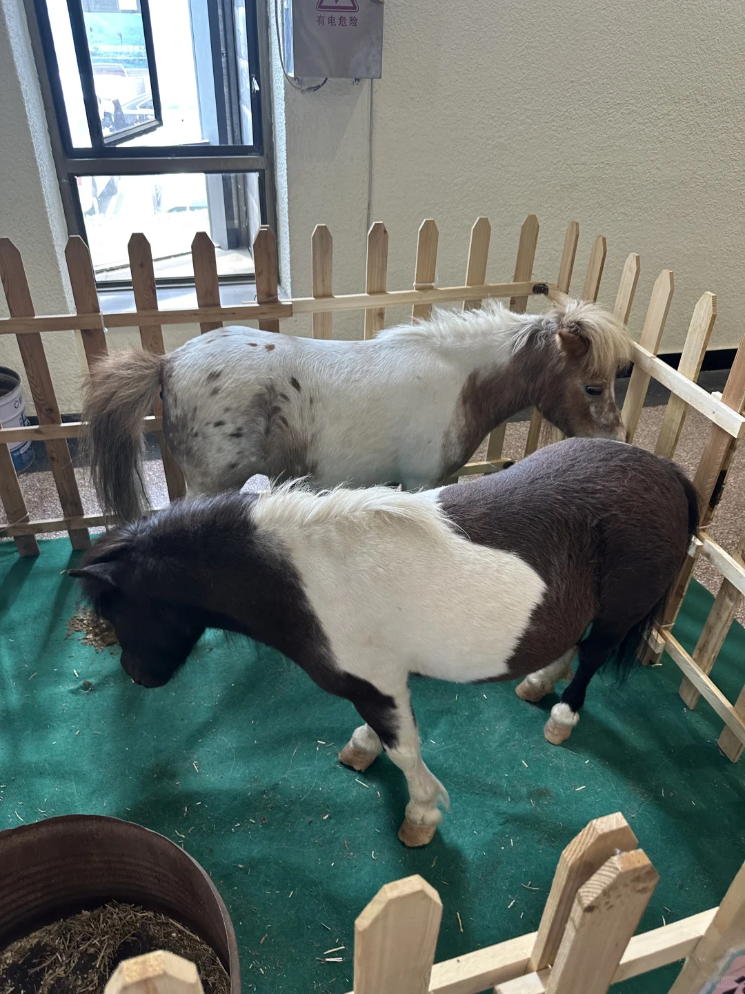 太原宠物博览会 可以带狗狗进的呦！