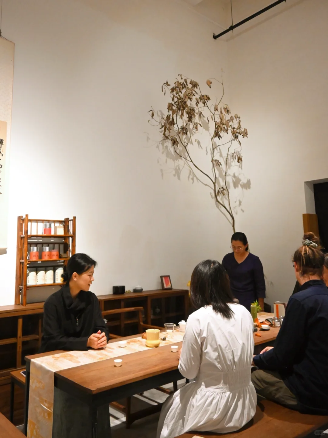 第二届中国工夫茶博览会｜本色相会