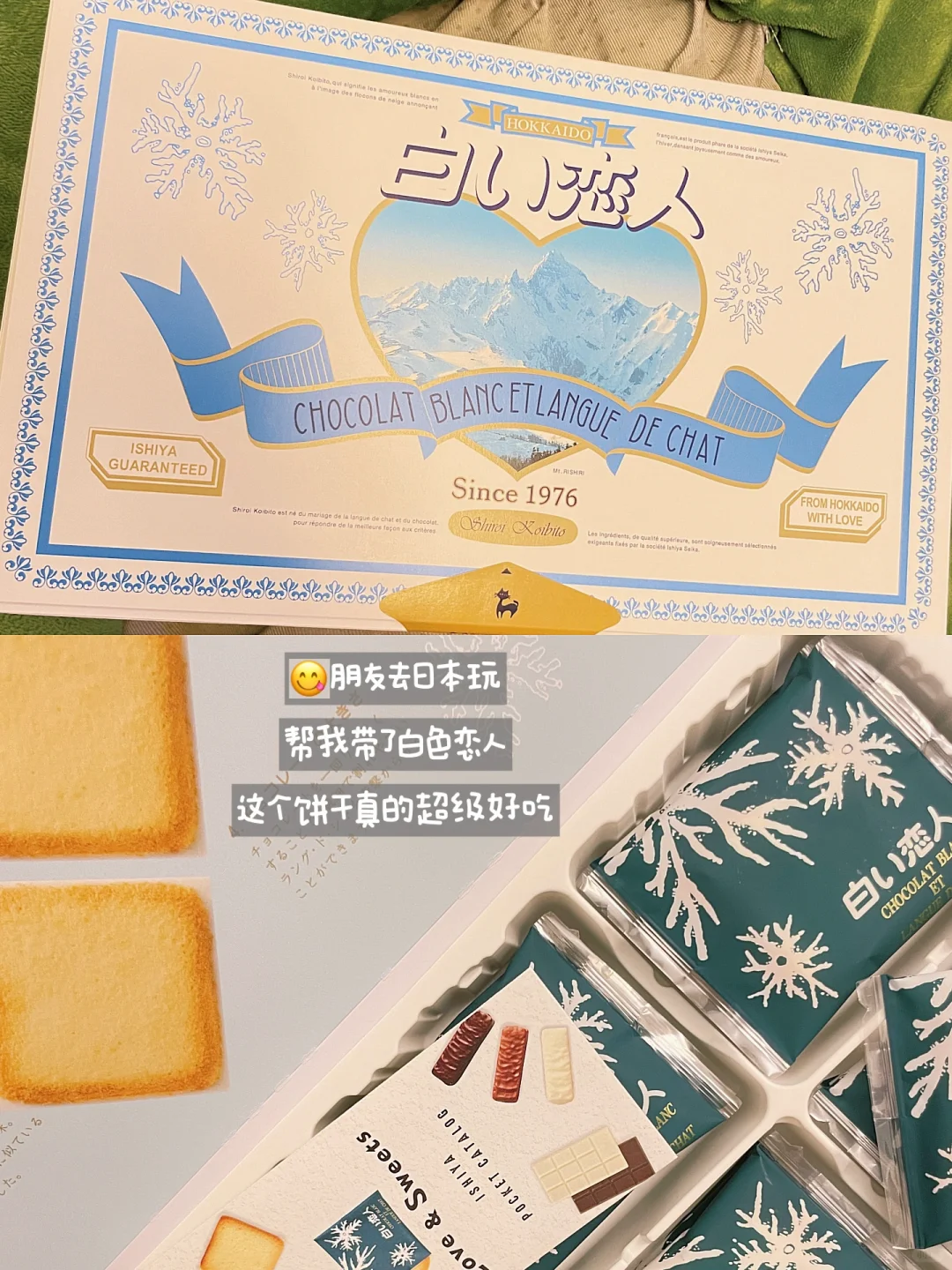 外企市场人|如何办一场成功的展会（全流程）