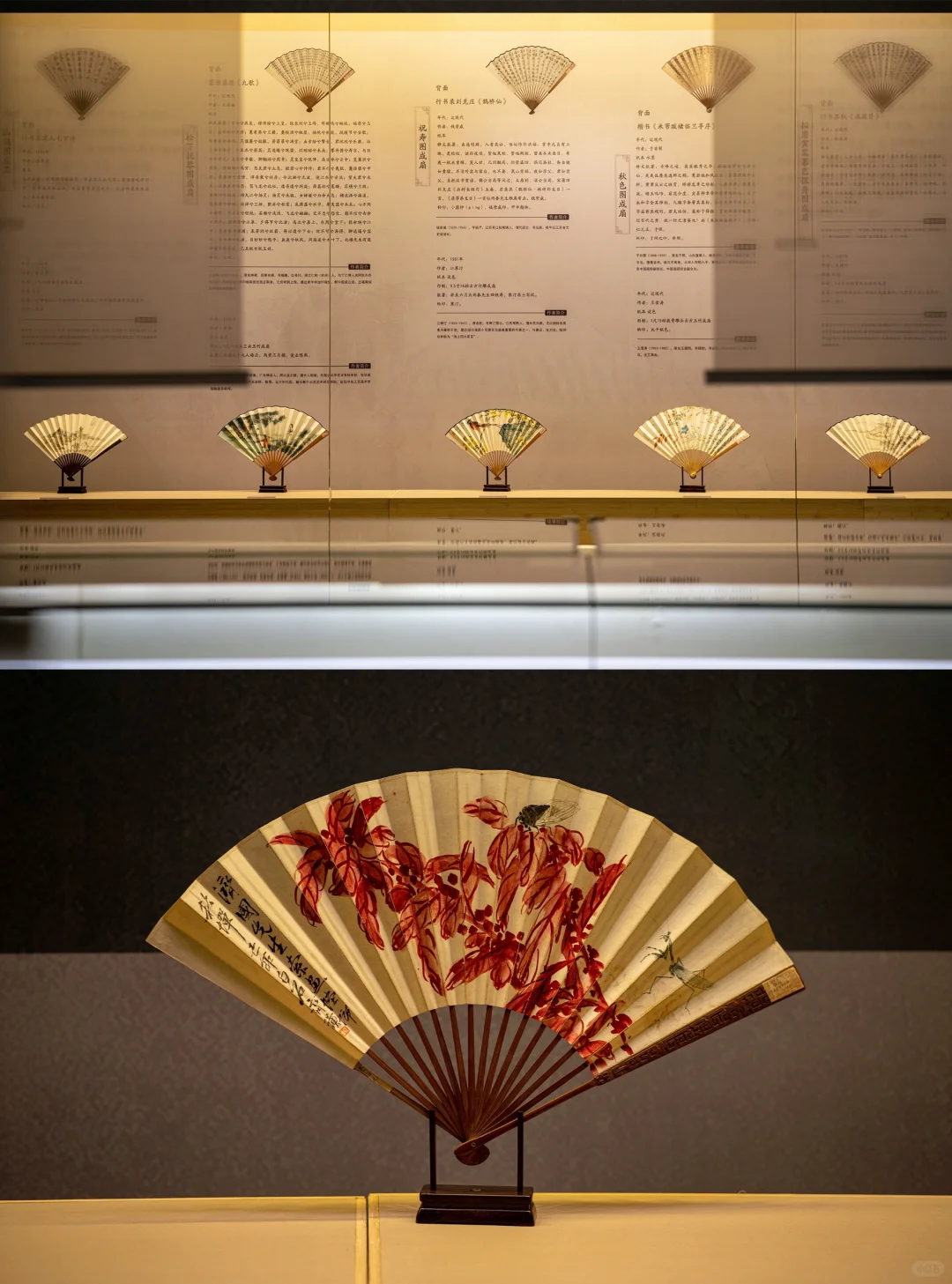 长春新展❗折扇轻摇?清风徐来?️