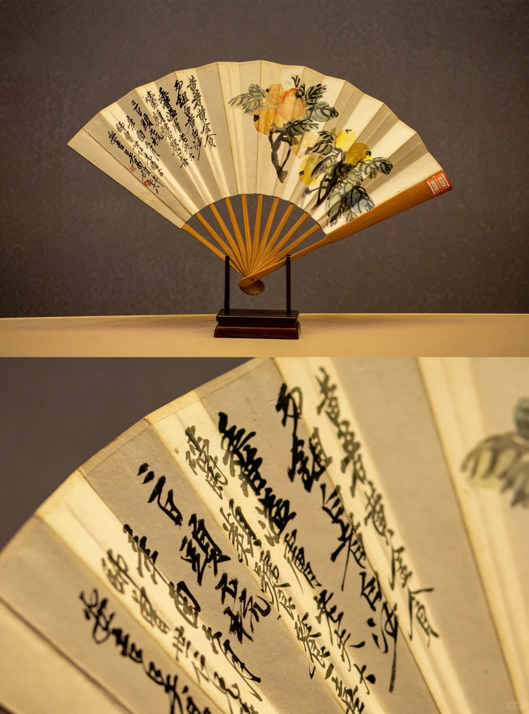 长春新展❗折扇轻摇?清风徐来?️