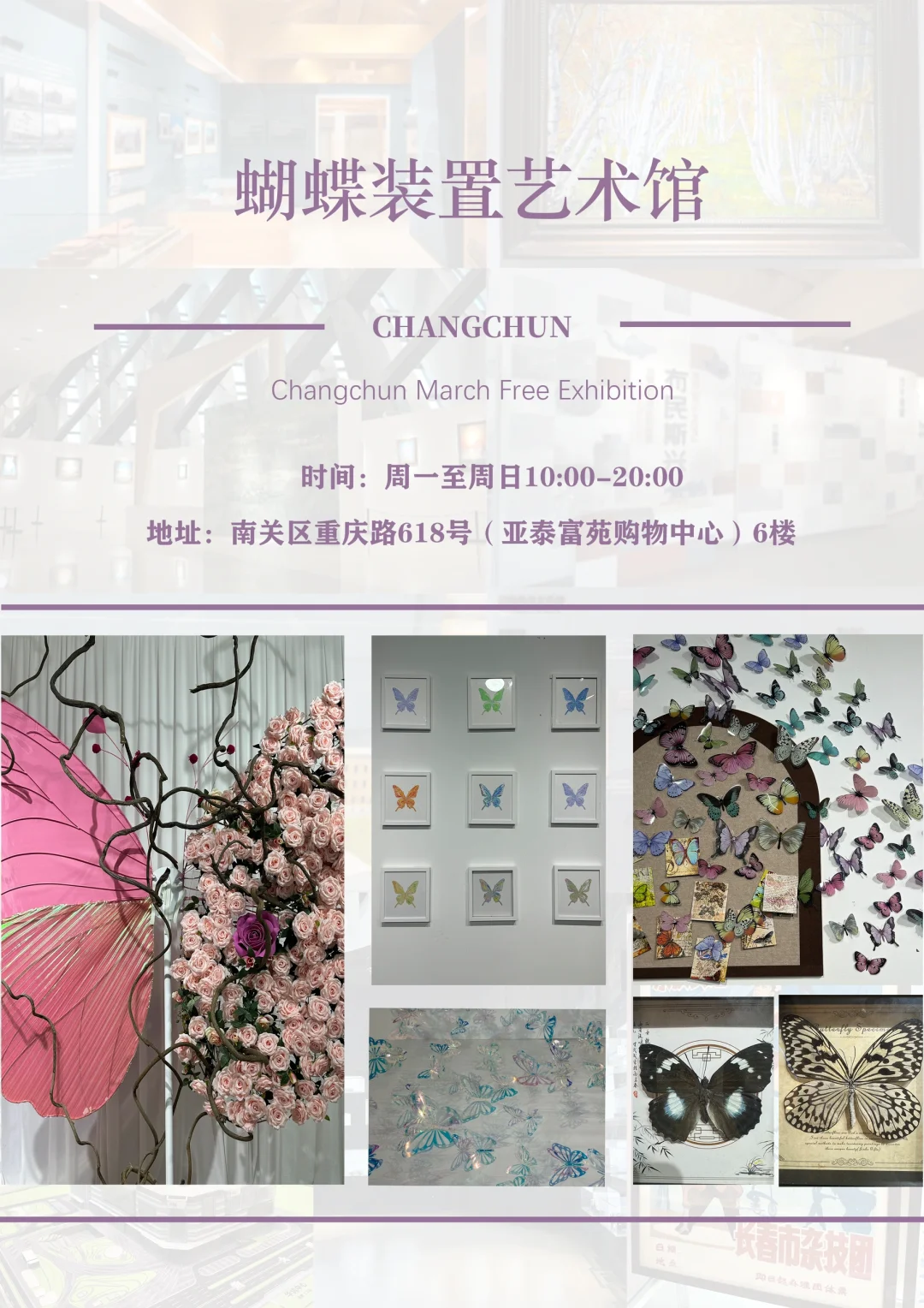 长春6月必看高质量展览?速收藏