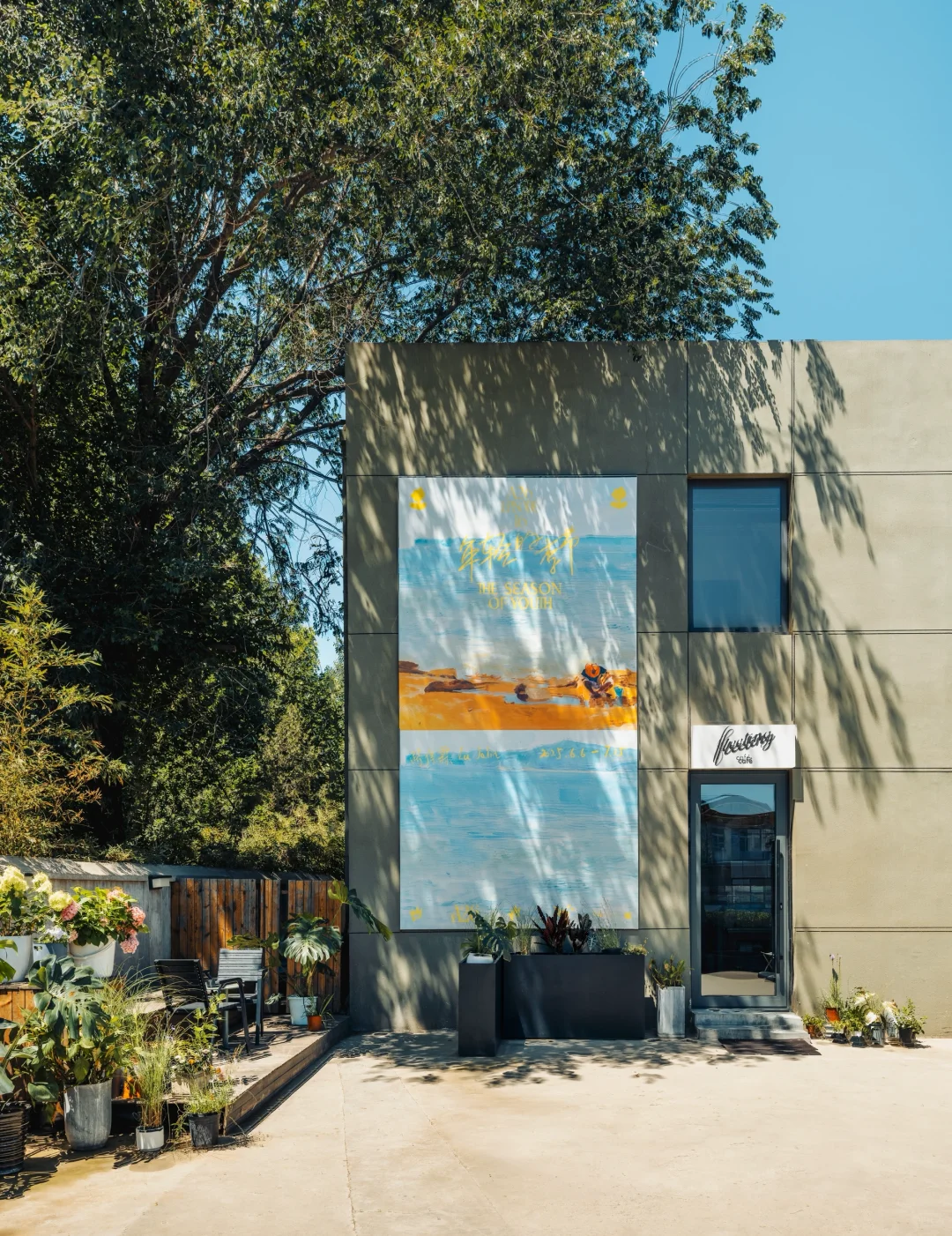 A26新展 年轻的季节