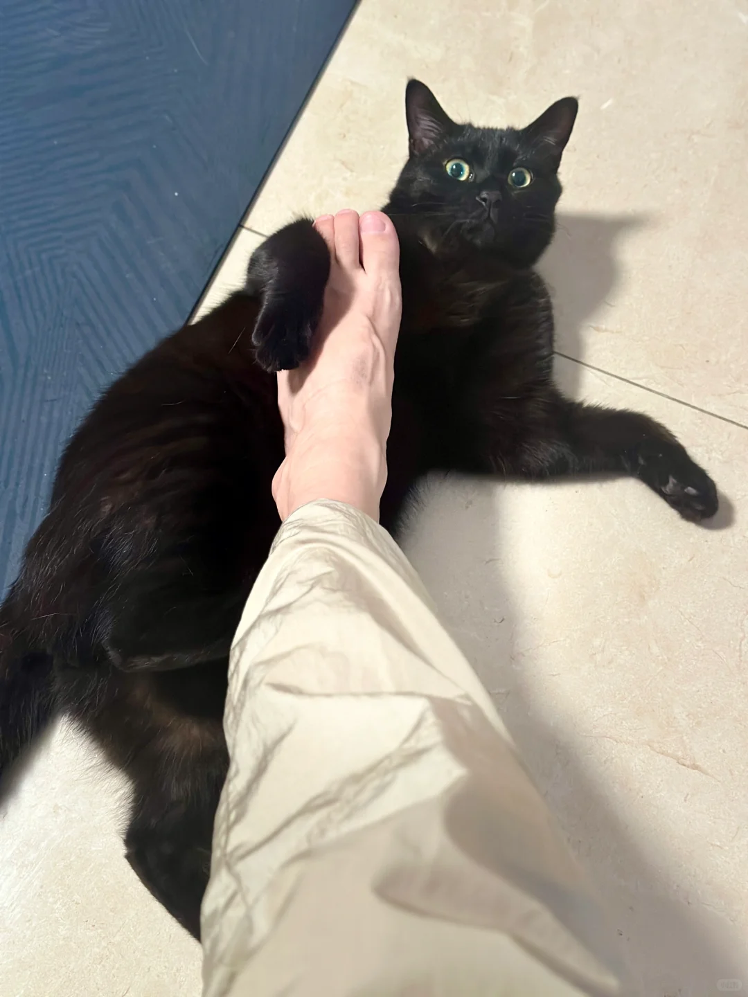 A26新展 年轻的季节