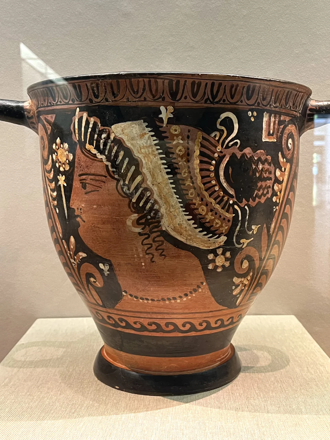 深圳新展|萌翻博物馆！网红显眼包来深圳啦?