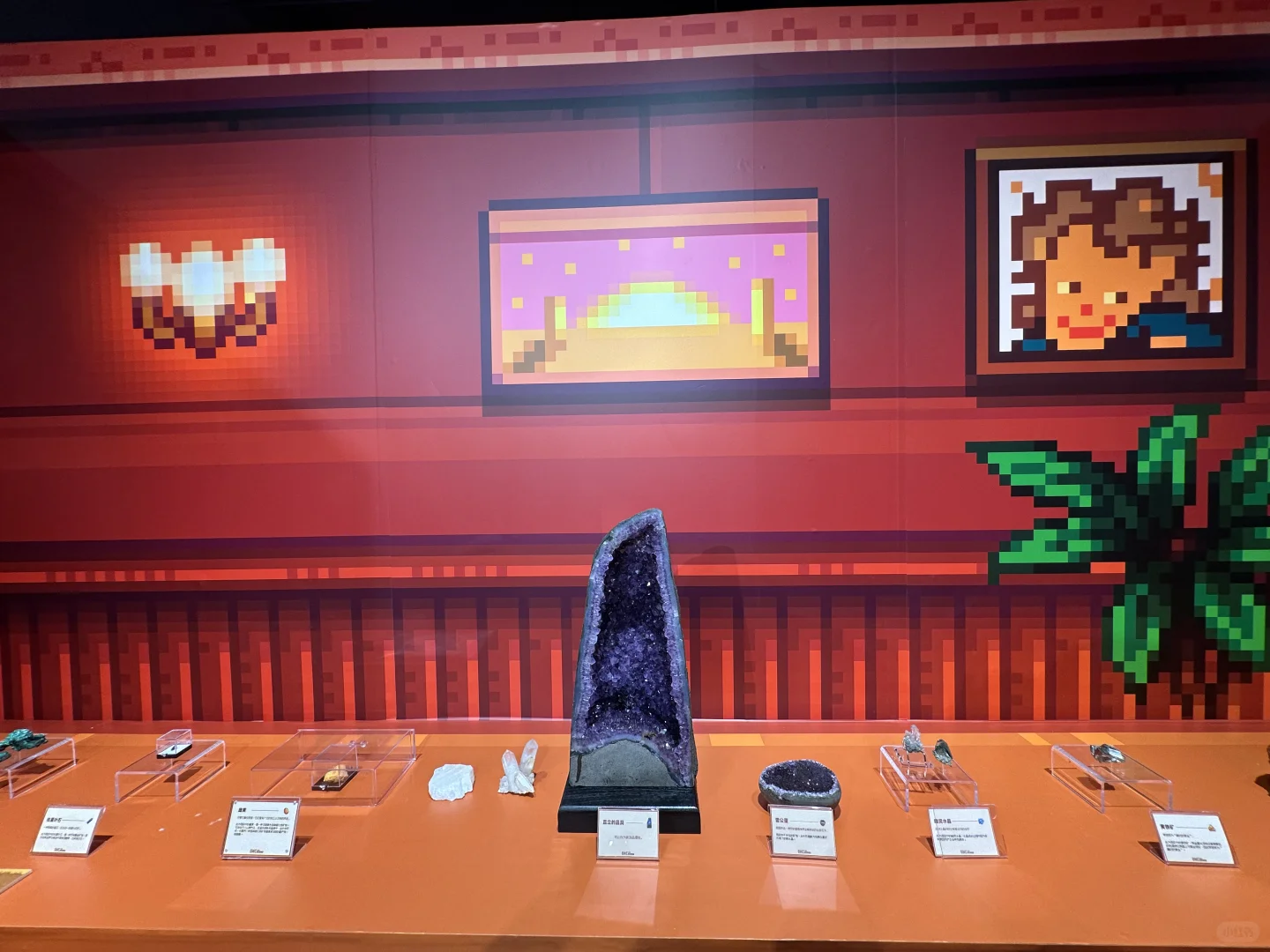 来星露谷展览会啦