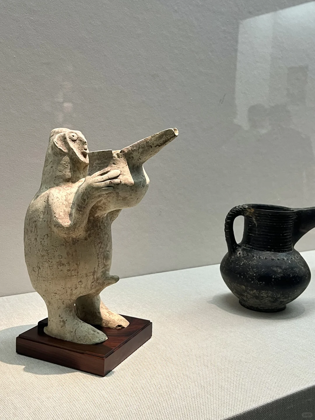 深圳新展|萌翻博物馆！网红显眼包来深圳啦?