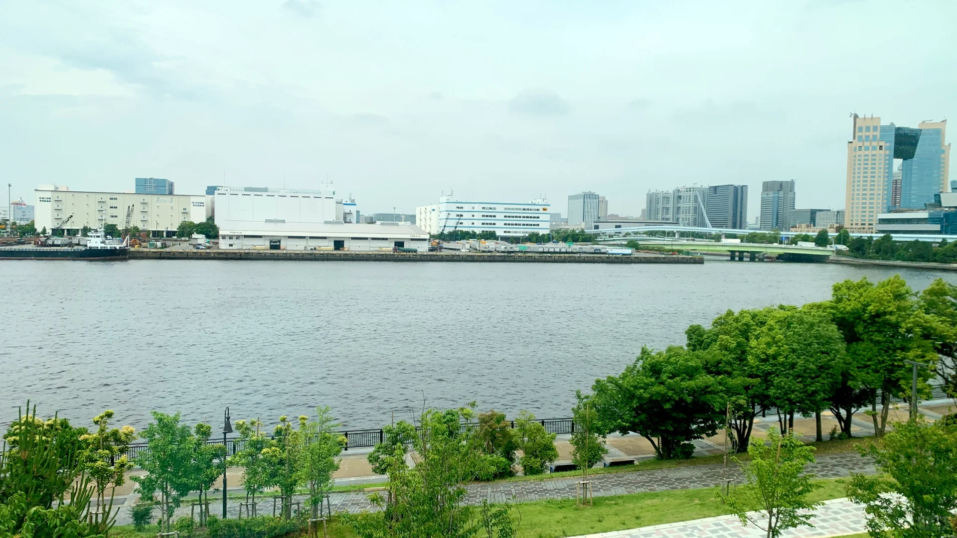 ? AFF展会｜口译日记