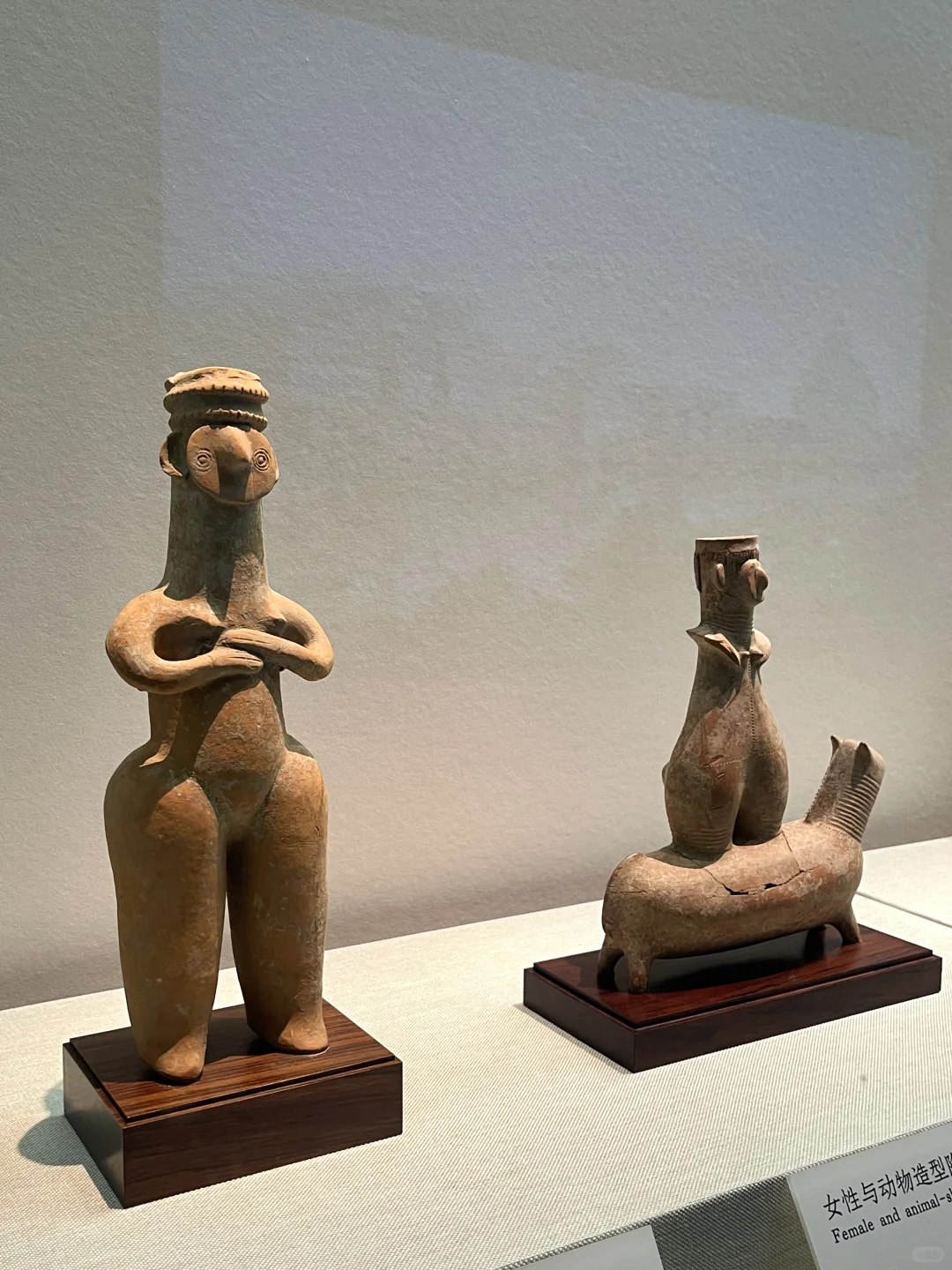 深圳新展|萌翻博物馆！网红显眼包来深圳啦?