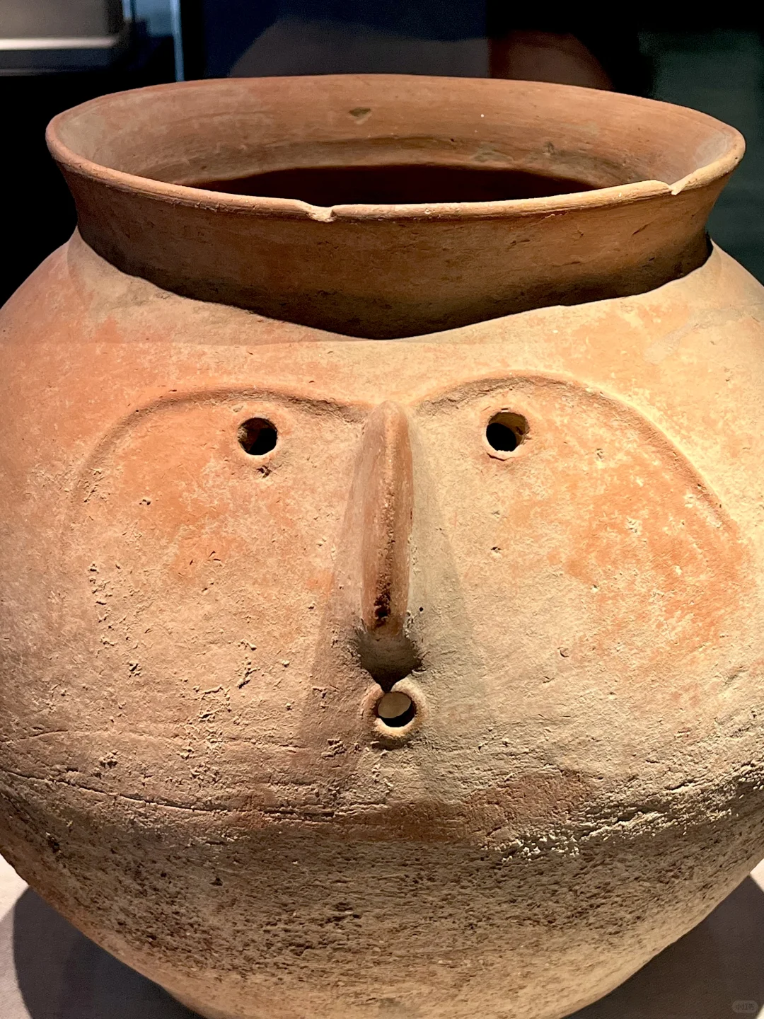 深圳新展|萌翻博物馆！网红显眼包来深圳啦?