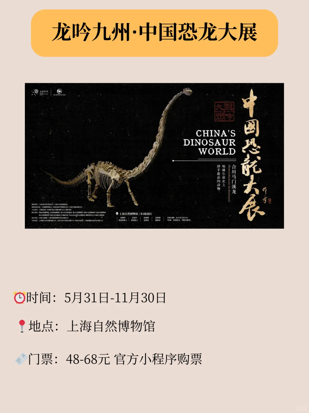 上海新展推荐来啦！许多免费参观！