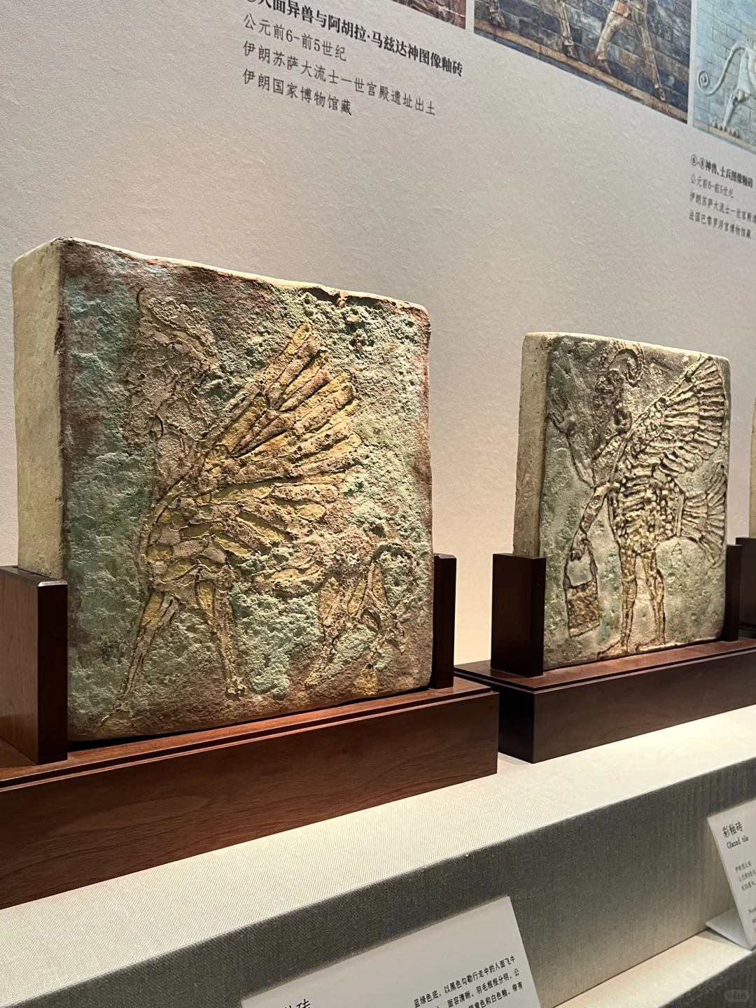 深圳新展|萌翻博物馆！网红显眼包来深圳啦?