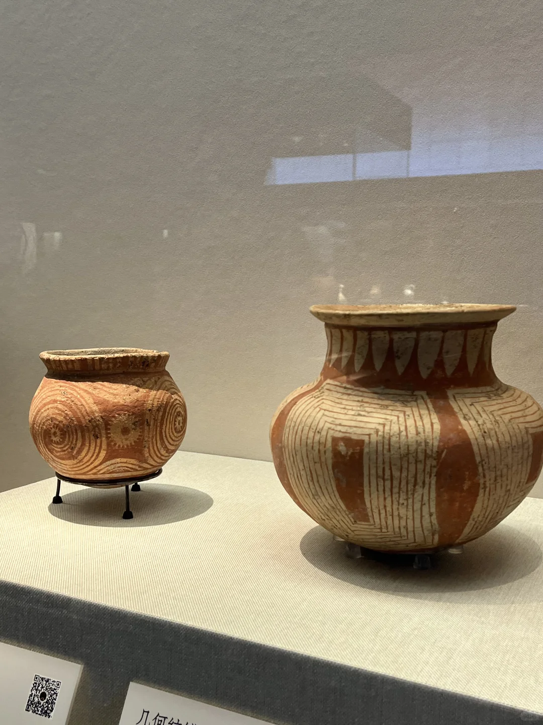 深圳新展|萌翻博物馆！网红显眼包来深圳啦?