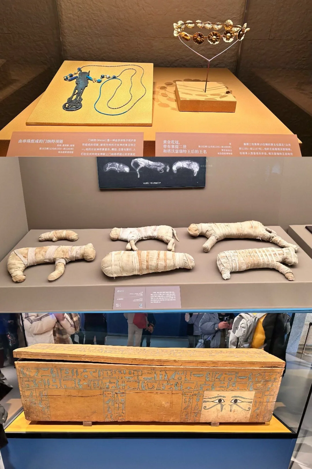 看埃及展，你需要提前知道这些