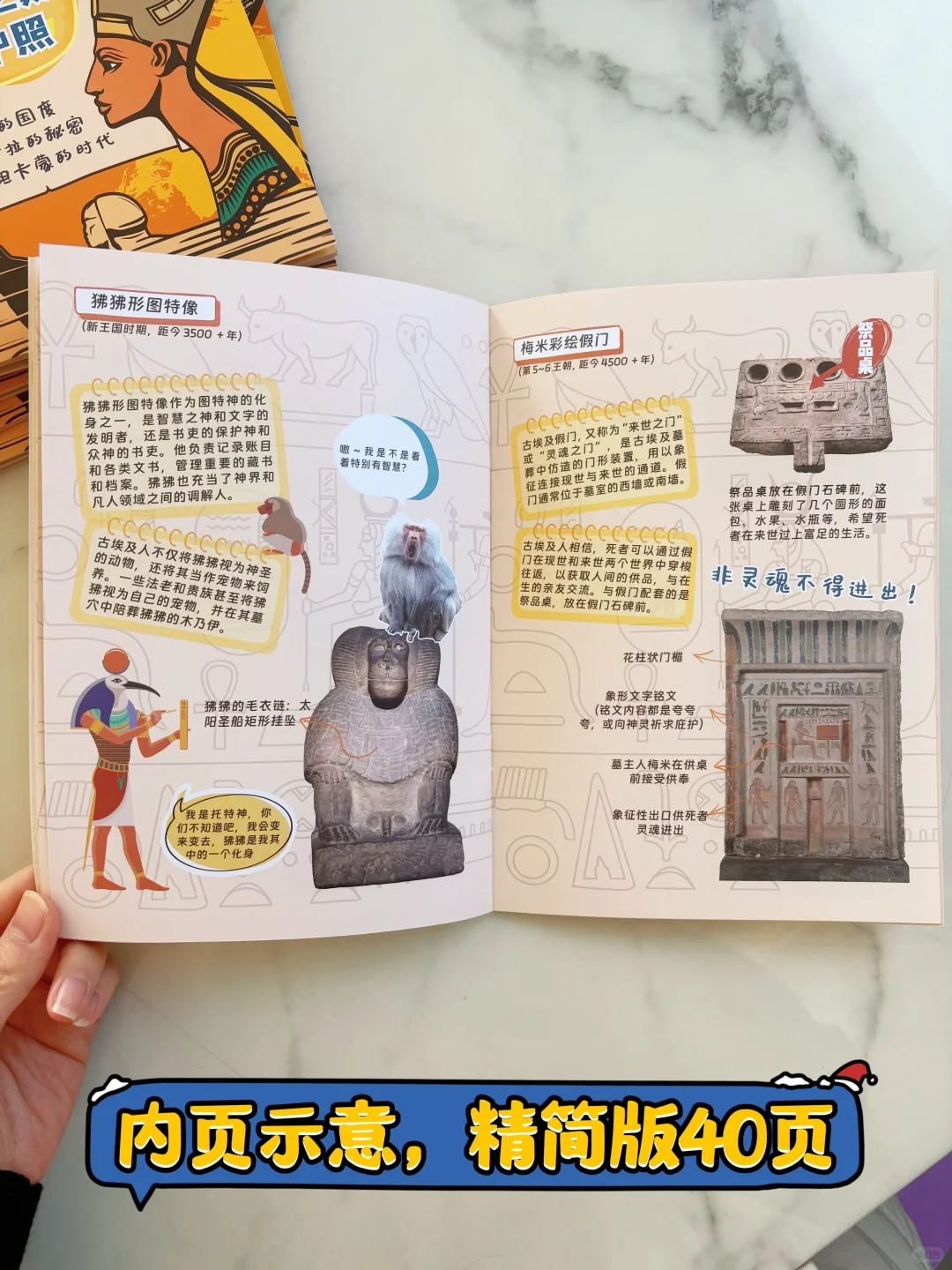 送埃及展参观护照（第三波）