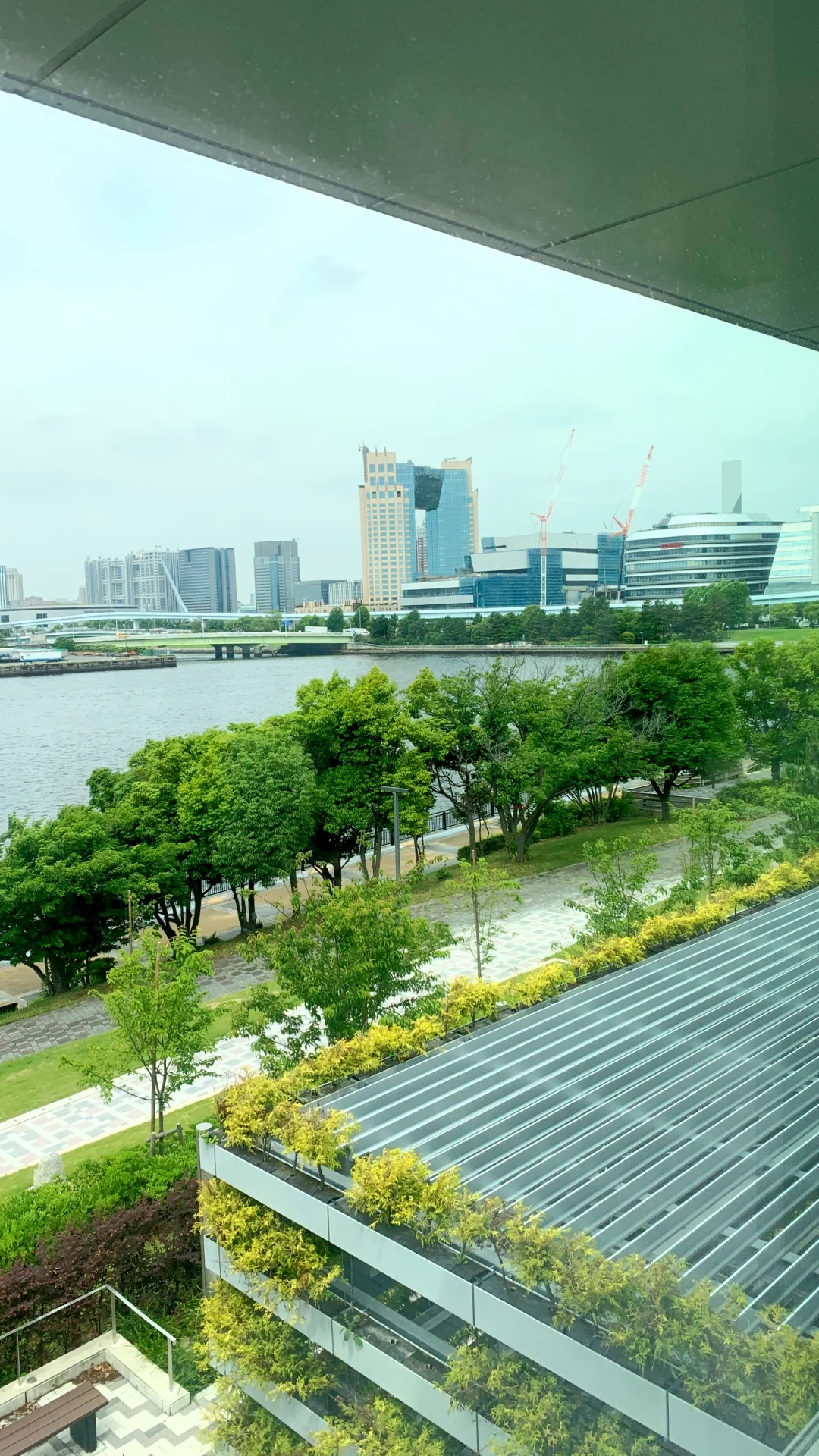 ? AFF展会｜口译日记