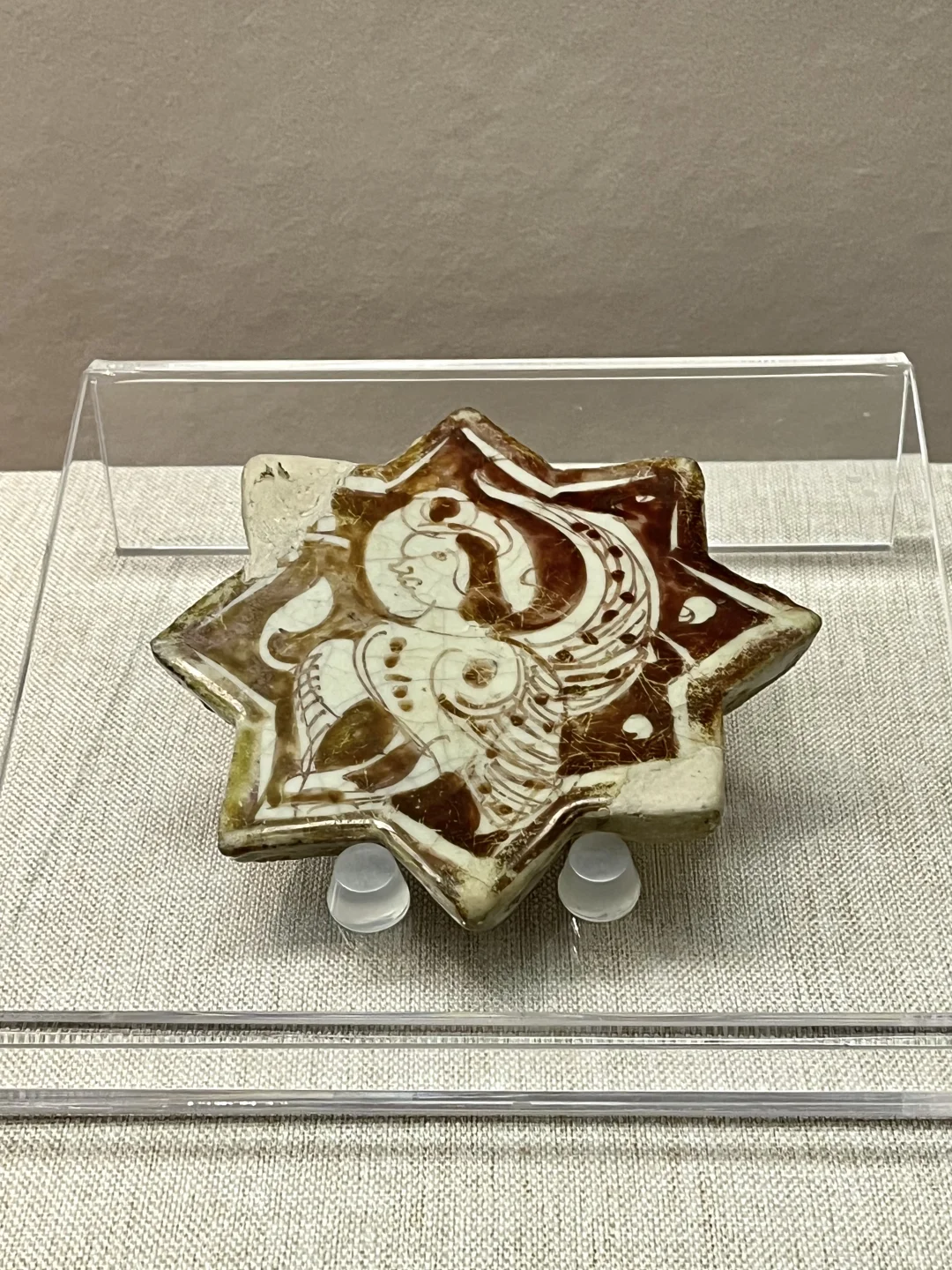 深圳新展|萌翻博物馆！网红显眼包来深圳啦?