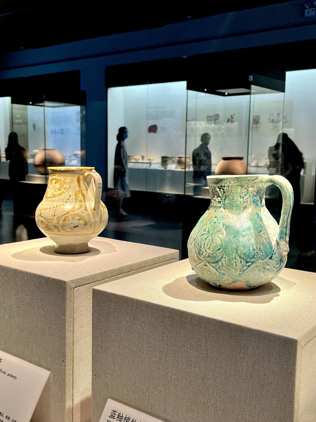 深圳新展|萌翻博物馆！网红显眼包来深圳啦?