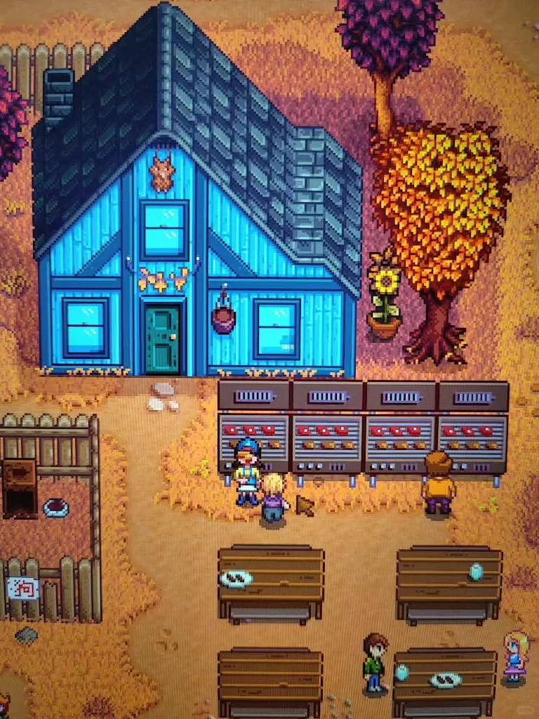 老乡，原来我们也能在活动中吃东西