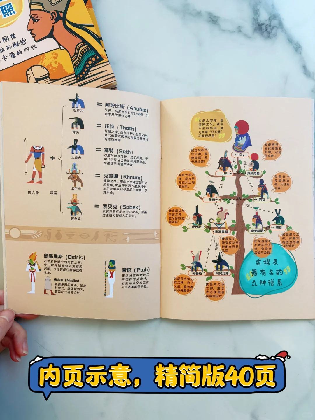 送埃及展参观护照（第三波）