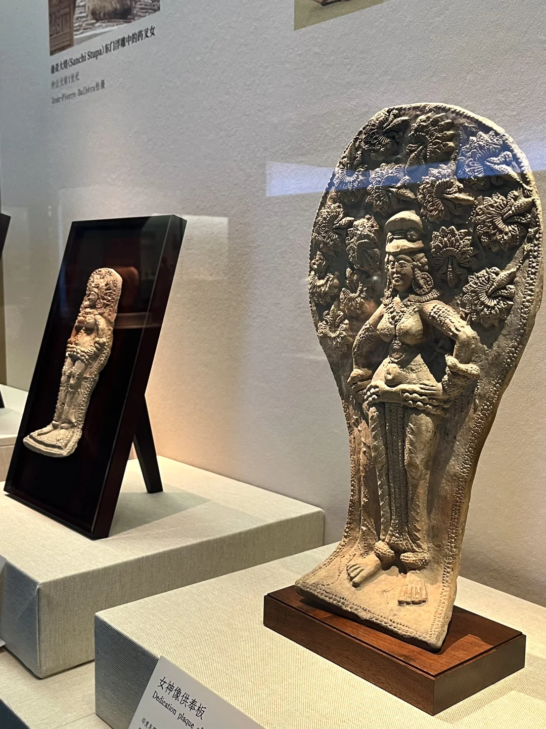 深圳新展|萌翻博物馆！网红显眼包来深圳啦?