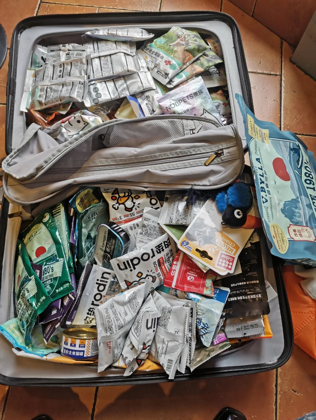 上海亚宠展专业日门票❗️特价促销中