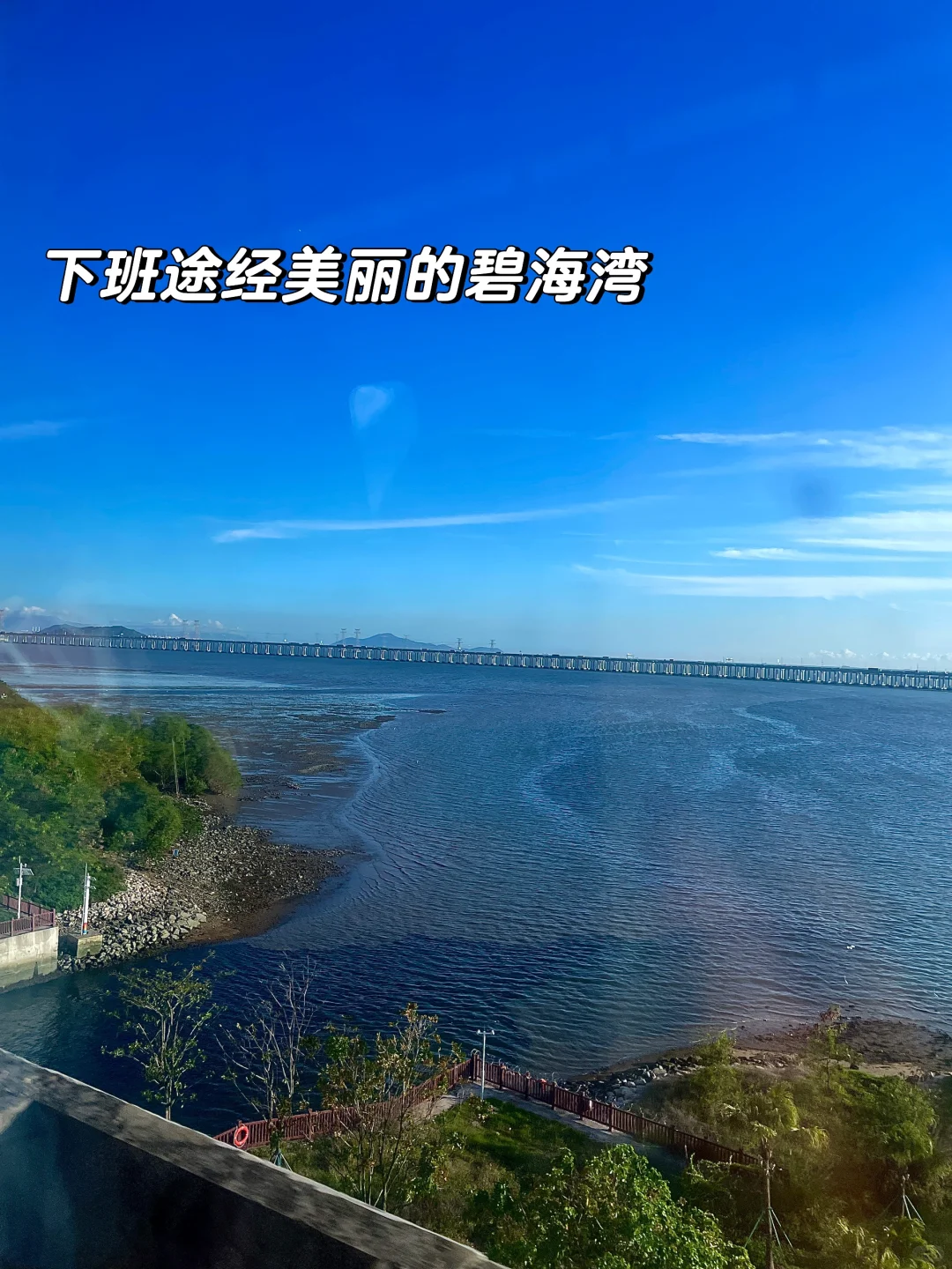 CIBF丨2025深圳国际电池展翻译