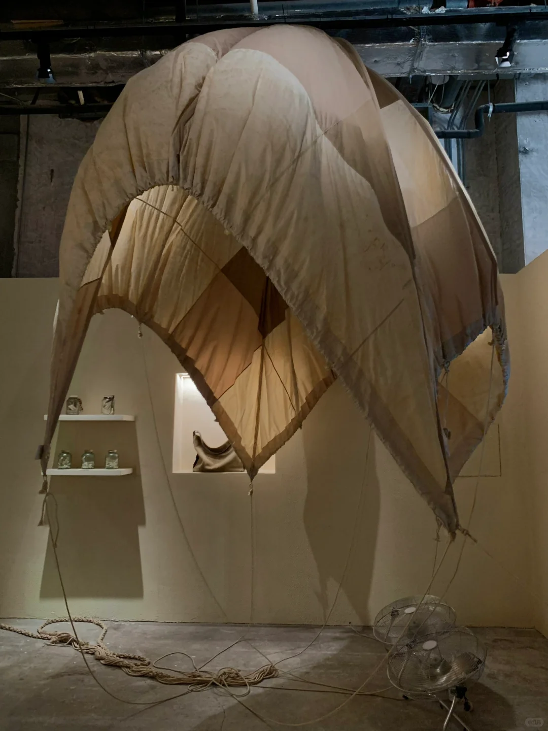 上海好看的展都是免费的！！外滩7展连看??