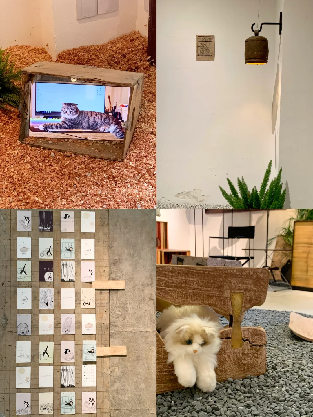 上海好看的展都是免费的！！外滩7展连看??