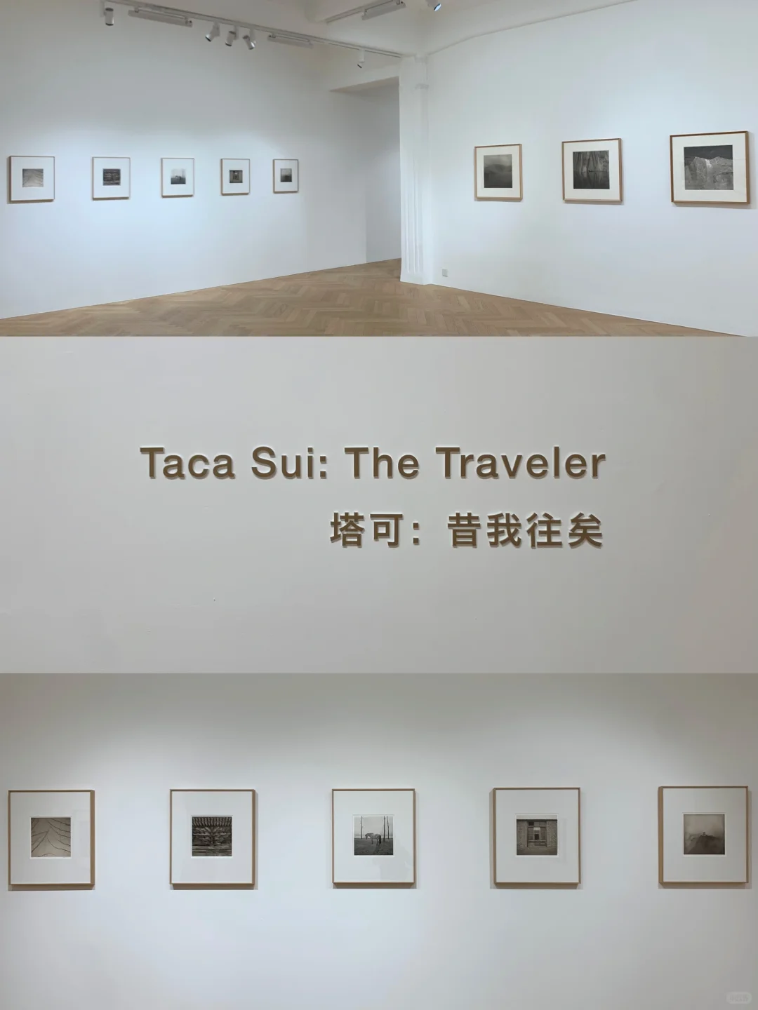 上海好看的展都是免费的！！外滩7展连看??