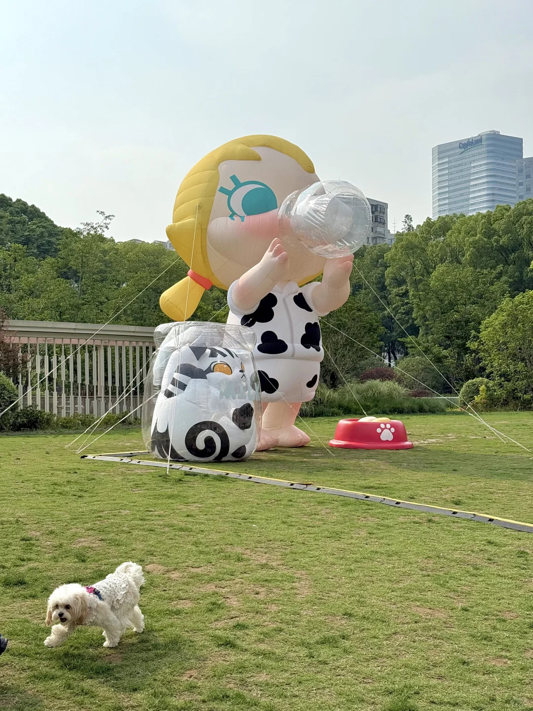 上海?可爱新展！！巨多活泼狗子?！！！