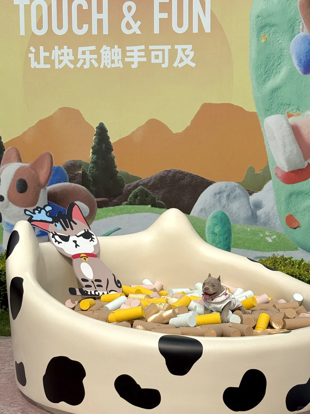 上海?可爱新展！！巨多活泼狗子?！！！