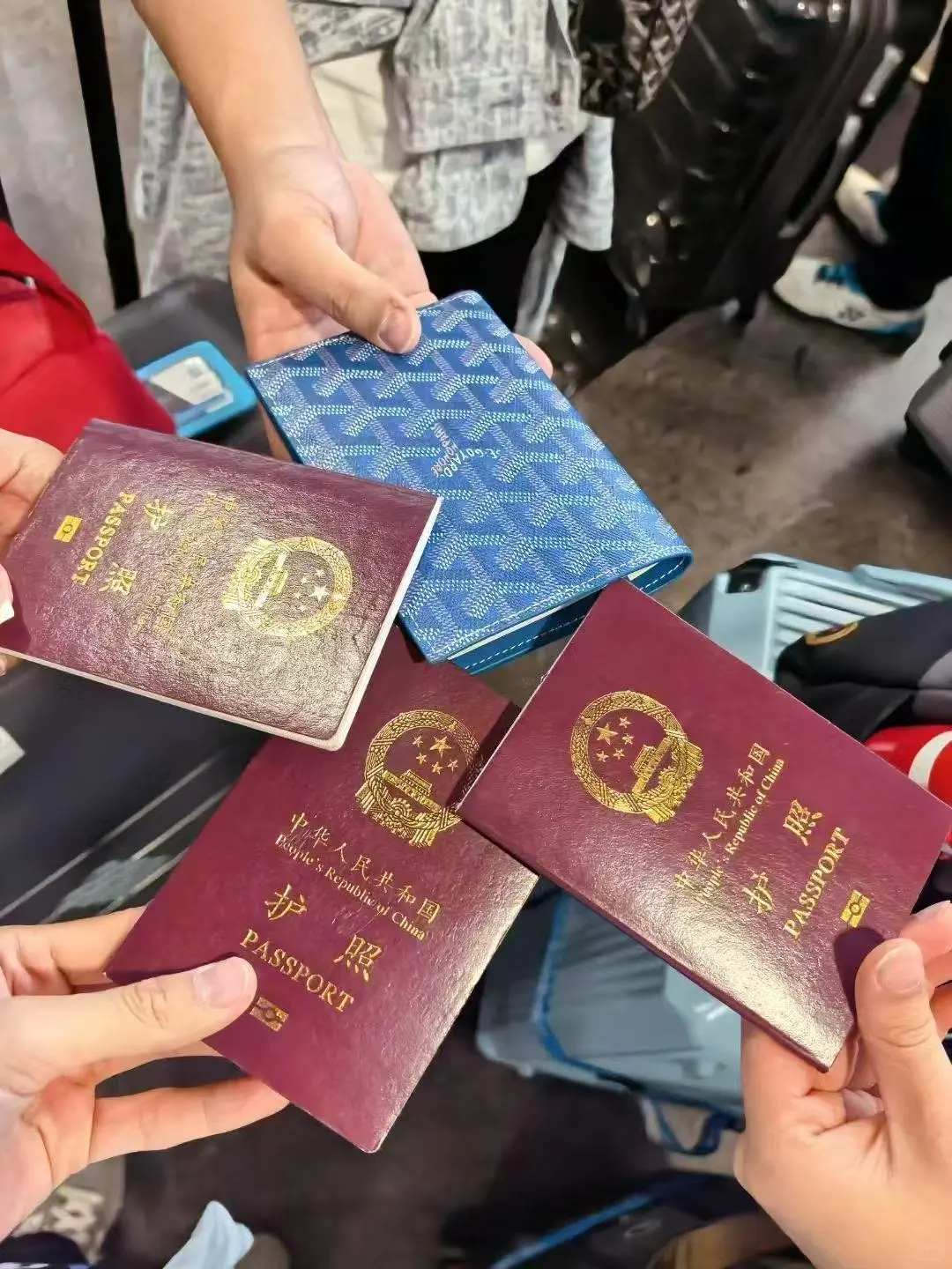 6 月展会出团一览表✈️