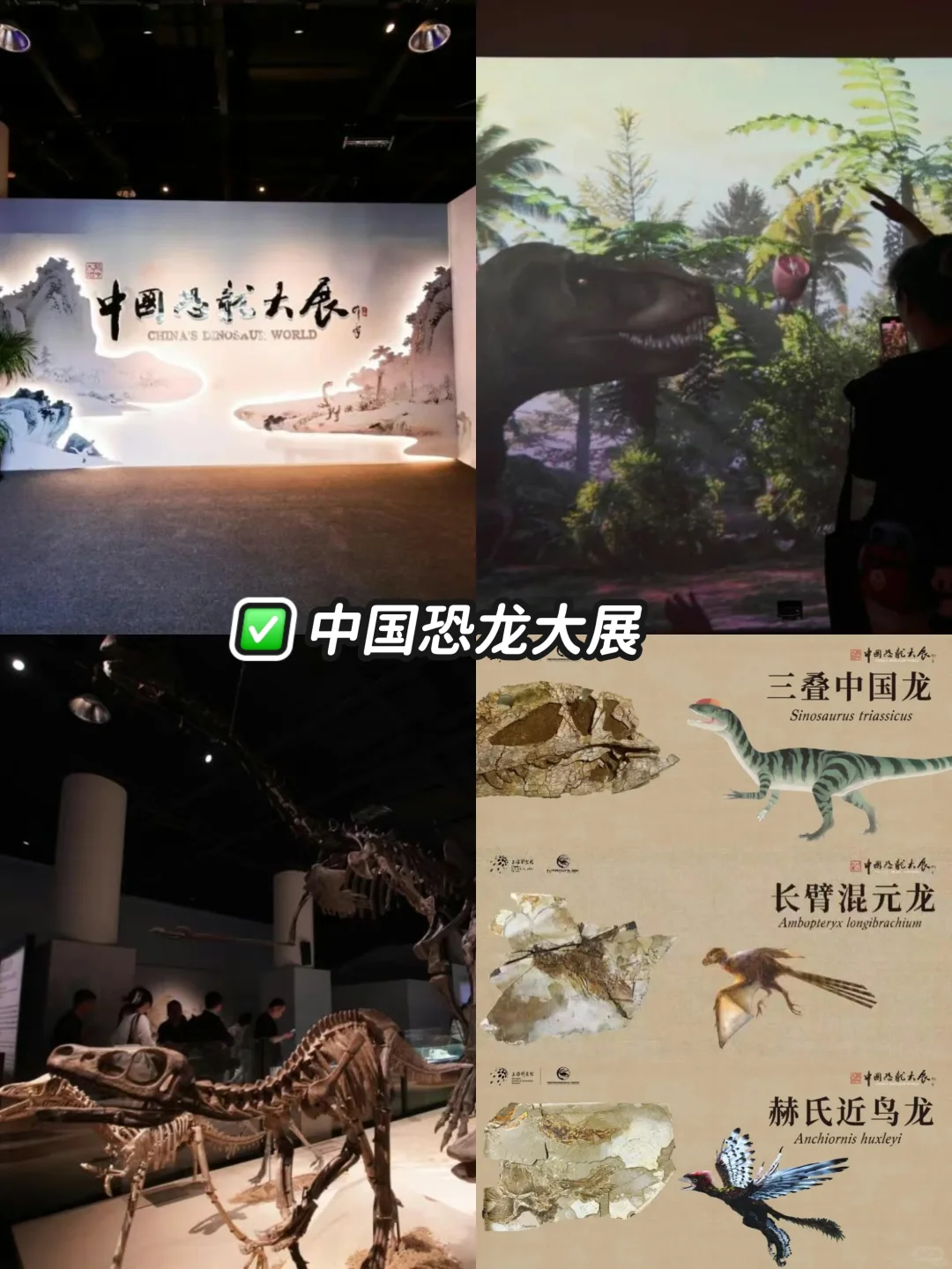 收藏✅上海6?️看展｜10+值得打卡的活动?