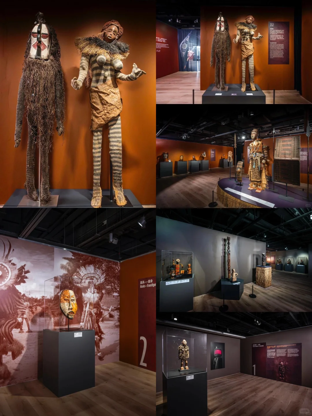 六月七月香港博物館最新展覽/活動合集