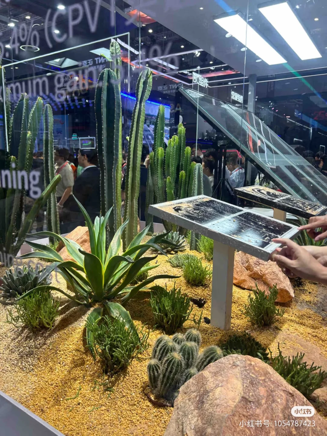 2025 SNEC精彩吃瓜【持续更】