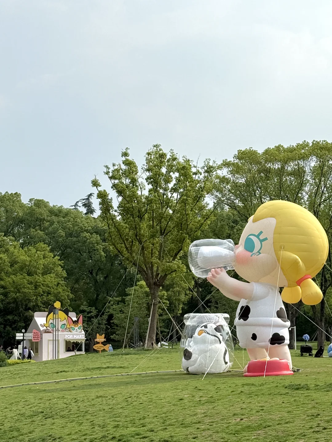 上海?可爱新展！！巨多活泼狗子?！！！